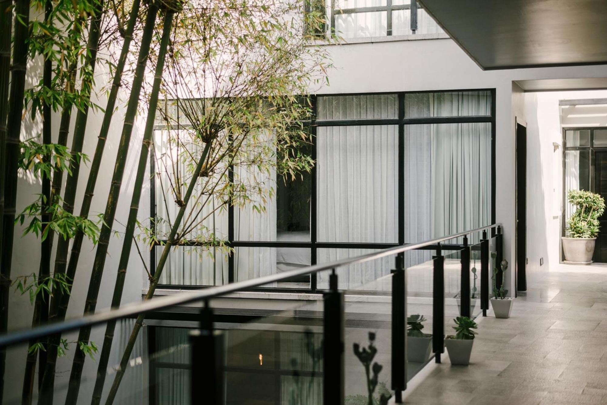 Hotel Matilda, A Member Of Design Hotels San Miguel de Allende Dış mekan fotoğraf