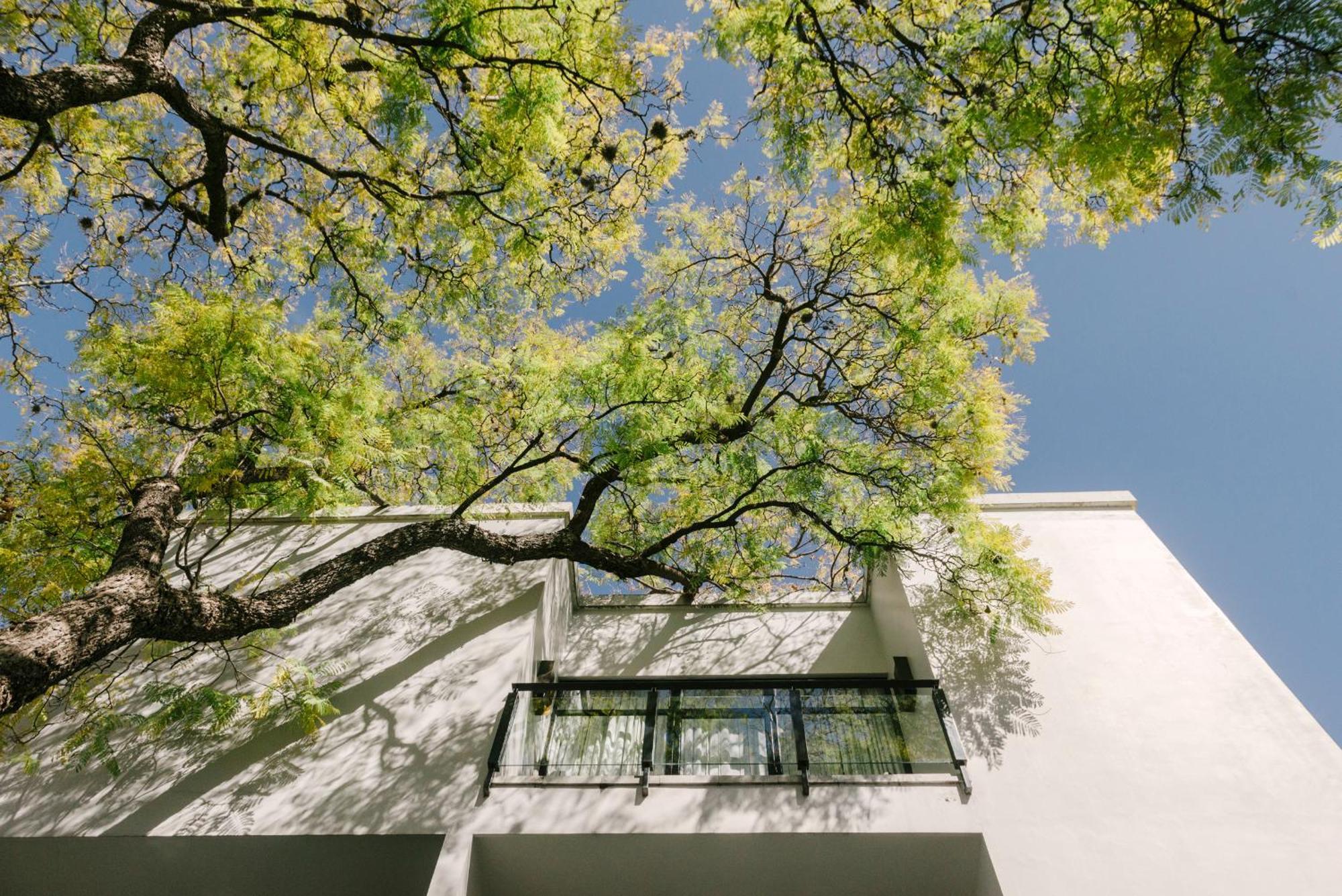 Hotel Matilda, A Member Of Design Hotels San Miguel de Allende Dış mekan fotoğraf