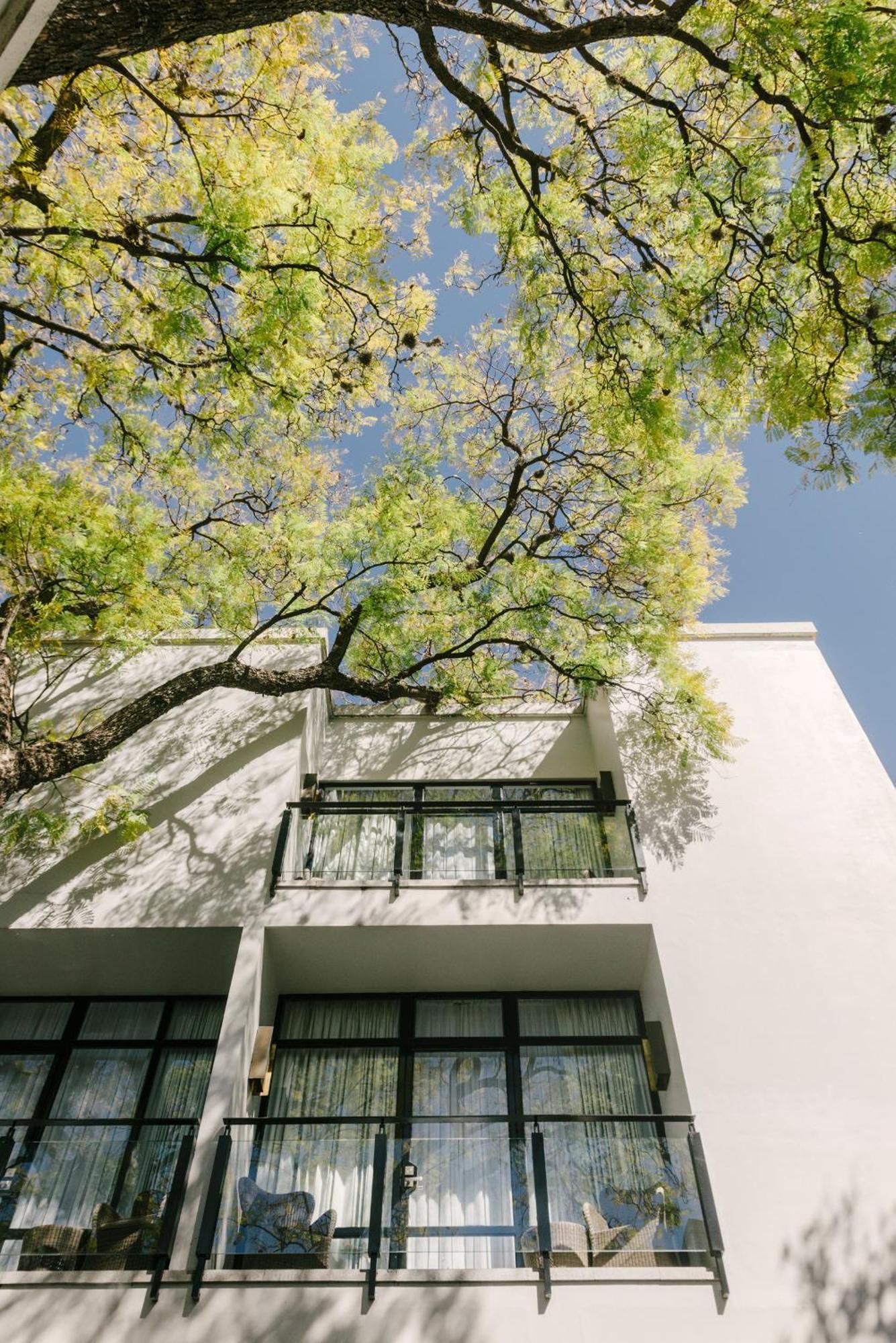 Hotel Matilda, A Member Of Design Hotels San Miguel de Allende Dış mekan fotoğraf