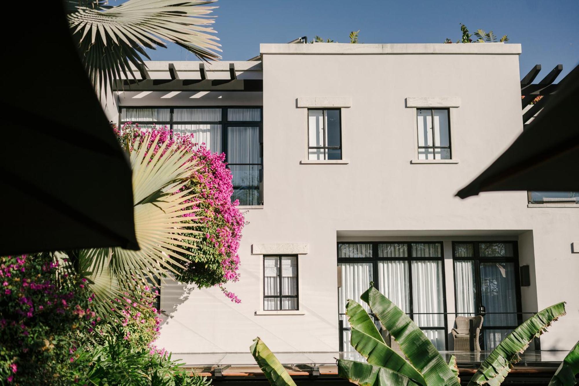 Hotel Matilda, A Member Of Design Hotels San Miguel de Allende Dış mekan fotoğraf
